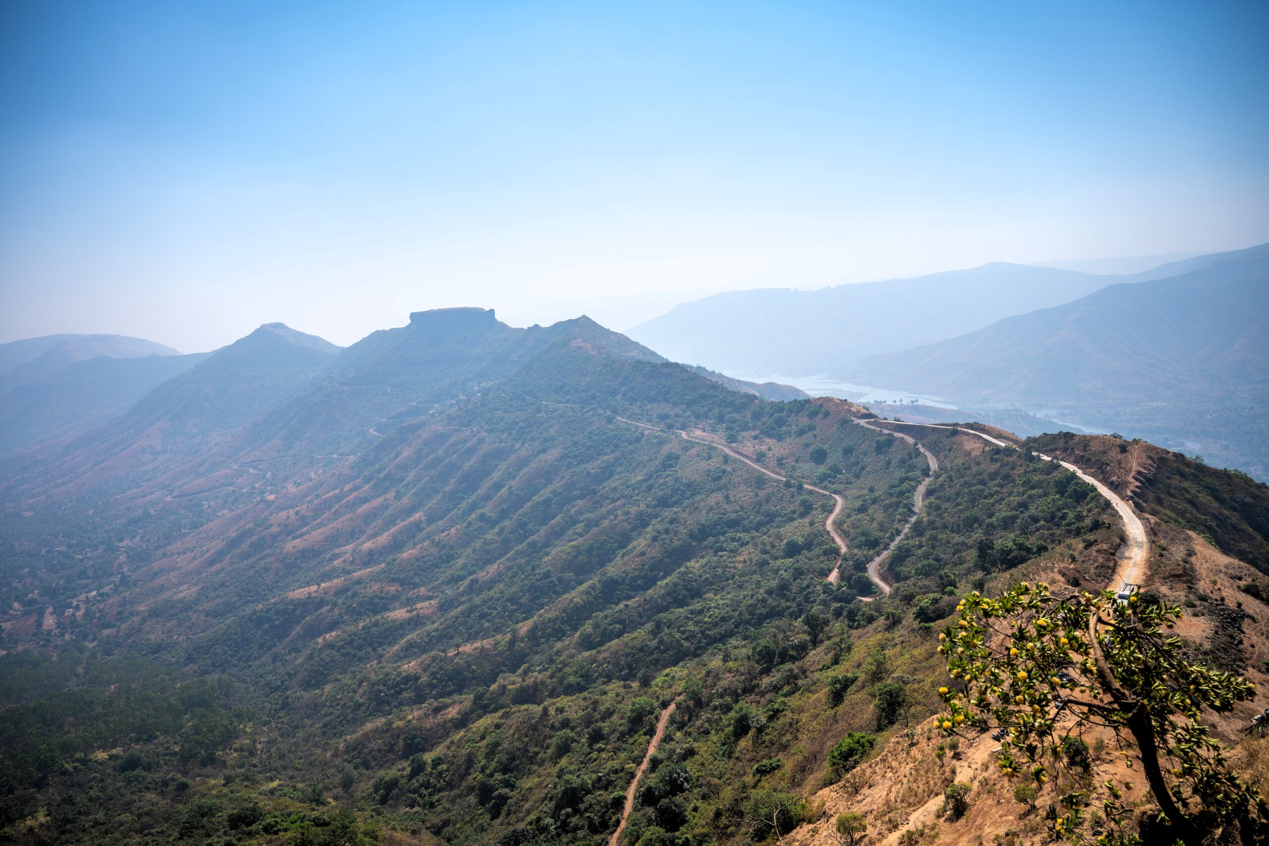 Inauguration image 2